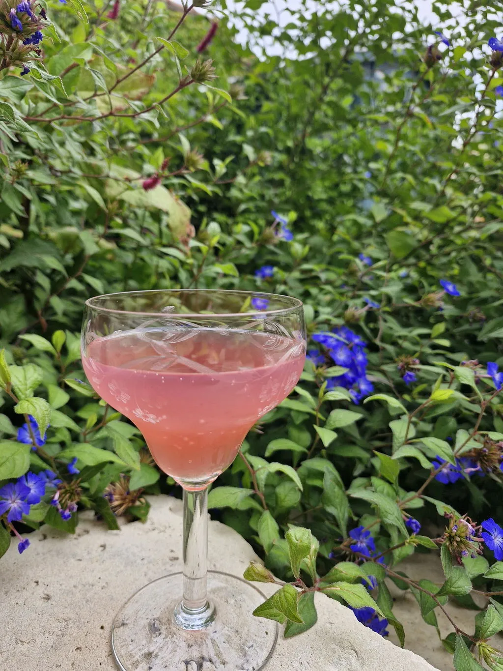 Jardins Fleuris & Suspendus Aperitif Duo-Set bio alkoholfrei