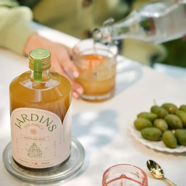 Jardins Solaires Ginger & Apricot Aperitif Ingwer