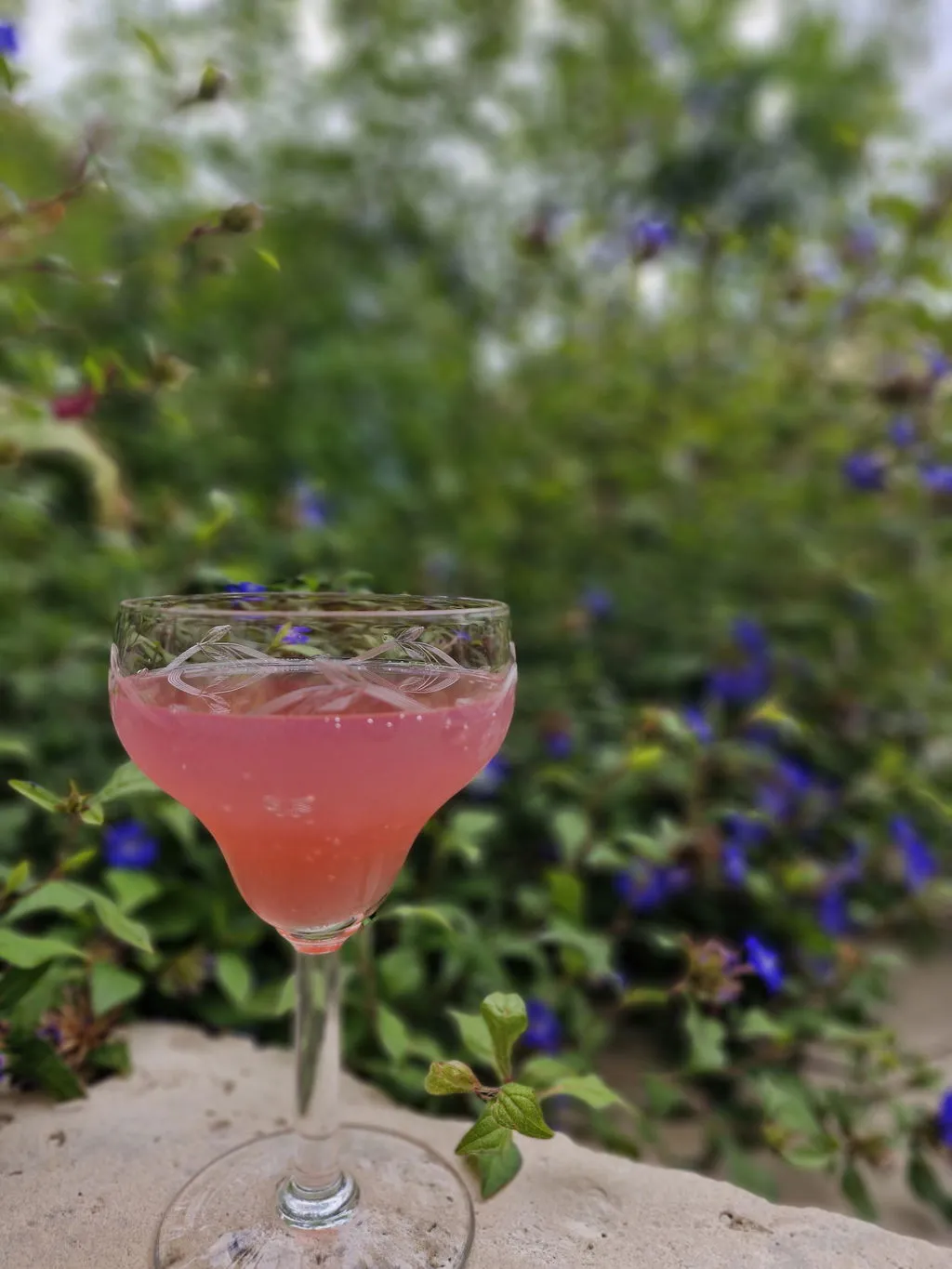 Jardins Fleuris & Suspendus Aperitif Duo-Set bio alkoholfrei